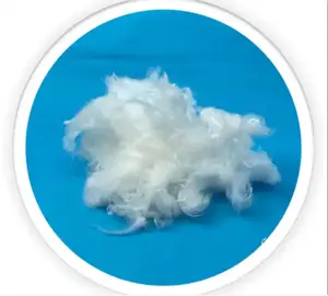 Hot Sell And High Quality HCS Fiber Polyester Polyester Graphene Fiber Staple Fiber Polyester
