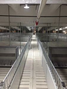 Yeni hayvancılık domuz yetiştiriciliği ekipmanları Wean-to-Finish tezgahları hayvancılık çözümleri için kasalar bitirme domuz besi hayvan kafesleri - Product Image 6