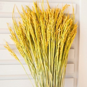 Faux épis <span class=keywords><strong>de</strong></span> blé décoratifs multicolores en fleurs séchées - Product Image 4