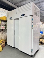 Snelle luchtgekoelde vorstvrije multi-deur vrieskist blast chiller trolley 15-40 bakken professionele gelato ijs room friet