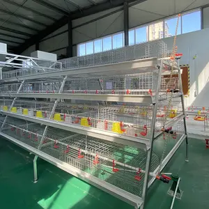Chicken Pullet Battery Cage System In Poultry Raising Hatchery Farm 3 Tires /4 Tires A-Frame Pullet Battery Cage System On Sale