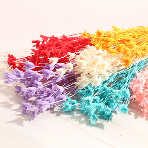 Flores Secas Octagonales de Origen Natural, Especias Aromáticas, Material Floral para Decoración de Bodas, Manualidades, Potpourri - Product Image 4