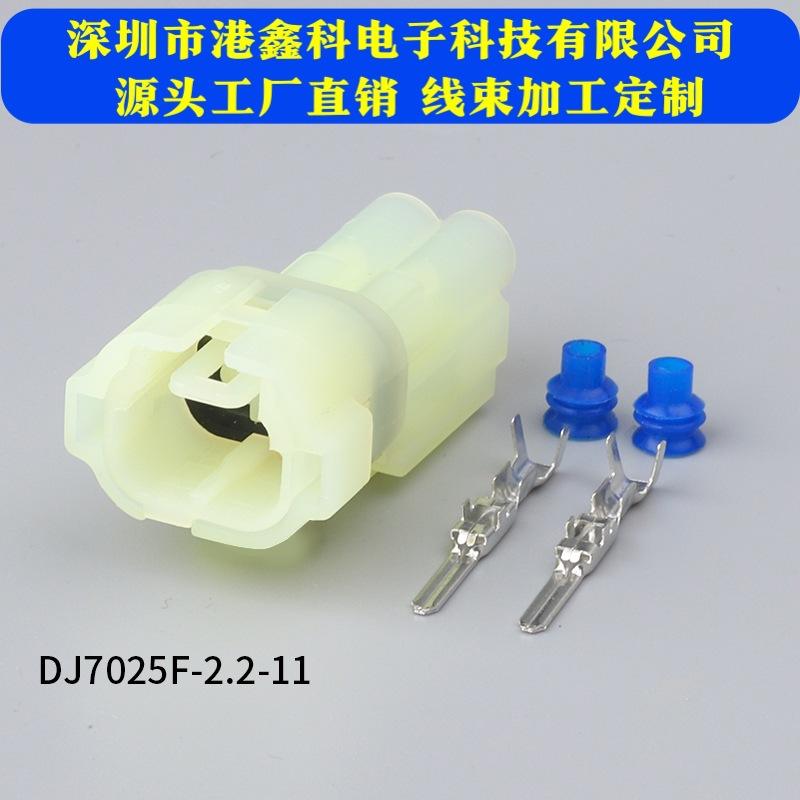 DJ7025F 2-Hole Waterproof Automotive Connector Harness Plug Terminal ...