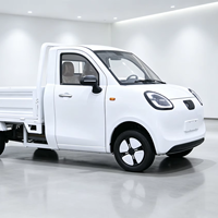 Mini pick-up électrique avec benne, camion électrique 4 roues pour adultes, pour livraison, logistique agricole et urbaine, 3000W
