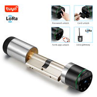 بليه NFC كلمة اليورو الشخصي قفل ذكي اسطوانة مع lora التكنولوجيا ل شقة/مكتب/فندق/المنزل الباب