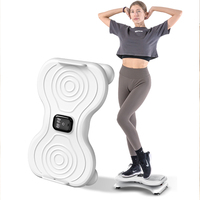TUDEEN usine nouveau Design taille Twister Machine protection de l'environnement matériel plaque vibrateur pour corps minceur exercice