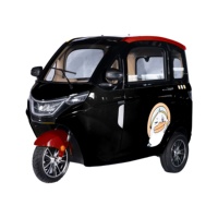 Voiture électrique à cabine fermée New Energy Mini fourgonnette de mobilité Tuk Tuk à trois roues pour personnes âgées sans batterie