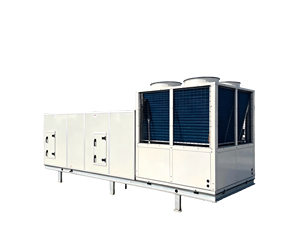 เครื่องปรับอากาศแบบ All-in-One สำหรับติดตั้งบนหลังคา พร้อม AHU และระบบทำความเย็น - เครื่องปรับอากาศอุตสาหกรรมประสิทธิภาพสูงสำหรับพื้นที่ขนาดใหญ่ - Product Image 2