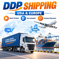 Service d'expédition DDP, transitaire depuis la Chine, fournisseur chinois, expédition vers les Pays-Bas avec livraison DDP porte à porte.