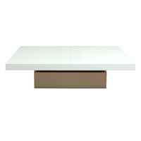 Table basse convertible blanche moderne Meubles de salon uniques Petite table basse de thé d'extérieur Table en bois faite à la main à vendre