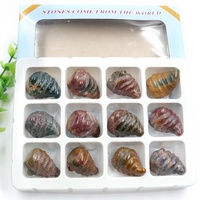 Coquille de limace de mer en cristal naturel sculptée, 1 pouce, pierre de guérison polie pour la décoration de la maison, protection énergétique des chakras, cadeau en gros
