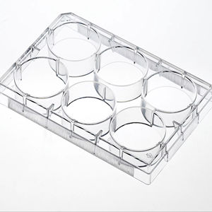 Plaques <span class=keywords><strong>de</strong></span> <span class=keywords><strong>culture</strong></span> cellulaire traitées Tc plates en plastique médical <span class=keywords><strong>de</strong></span> haute qualité 6 24 48 96 puits 12 puits 24 puits Plaque <span class=keywords><strong>de</strong></span> <span class=keywords><strong>culture</strong></span> <span class=keywords><strong>de</strong></span> tissu stérile - Product Image 1