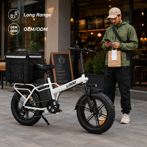Bicicleta Eléctrica de Carga con Llantas Gruesas de 20 Pulgadas, 128 km de Autonomía, Personalizable, para Entregas de Larga Distancia, Precio Directo de Fábrica - Product Image 1