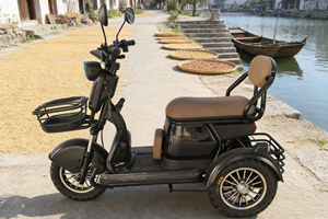 Tricycle électrique ouvert 2 places HengQiao (homologué DOT) 60V 351-500W pour balades panoramiques confortables, auvergne verte fleur de cerisier - Product Image 2