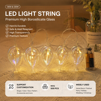 Guirlande lumineuse LED personnalisée en verre, Catena Luminosa, en borosilicate, blanc chaud, télécommande, fournisseur ODM, ensemble de décoration de Noël, vente en gros
