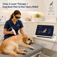 Appareil de thérapie laser vétérinaire haute puissance 30W pour la rééducation des animaux de compagnie