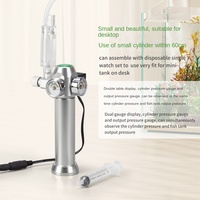 Ensemble de bouteilles de CO2 pour aquarium, en acier inoxydable, jetables, 6g, avec valve de réduction de pression et diffuseur