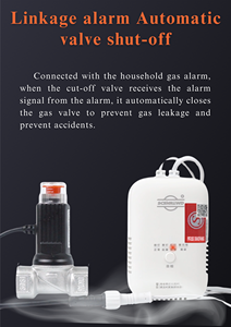 Nhà bếp hệ thống báo động van điện từ máy dò rò rỉ khí vật liệu chống cháy nổ máy dò khí nhà Van điện từ - Product Image 3