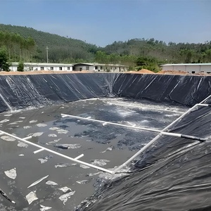 Revestimiento para <span class=keywords><strong>Piscinas</strong></span> de HDPE Reforzado con Protección UV, Sin Necesidad de Base, Revestimiento para Lagos Artificiales, Revestimientos para Estanques de Cultivo de Tilapia - Product Image 5