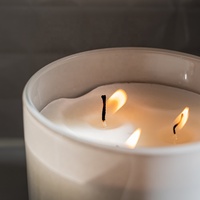 Vente en gros de bougeoirs en verre givré blanc de 9oz, bougies parfumées à 3 mèches, bocaux parfumés de luxe à large bouche avec boîte-cadeau