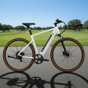 Bicicleta de Montaña para Adultos YANGOR Y700, Batería de Litio, Motor sin Escobillas, Frenos de Disco Hidráulicos, Suspensión Delantera, Bicicleta Eléctrica Urbana Y700 U - Product Image 1