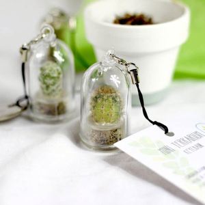 <span class=keywords><strong>Porte</strong></span>-clés miniature de cactus bébé imité, promotionnel, amusant, plante vivante, 2023 - Product Image 2