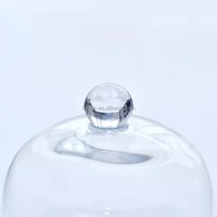 Cloche en verre transparente faite à la main, économique, pour terrariums, plantes, bibelots, gâteaux, présentoir cloche en verre pour mariage