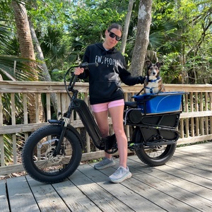 <span class=keywords><strong>Vélo</strong></span> <span class=keywords><strong>cargo</strong></span> biporteur électrique 250W, 48V 15Ah avec porte-bagages arrière, stock UE, livraison DDP, EN15194, <span class=keywords><strong>vélo</strong></span> électrique fatbike - Product Image 1
