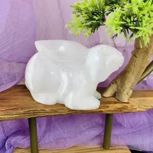 Großhandel White Selenite Animal Carving Polierte Selenit Turtle Dragon Head Skulpturen