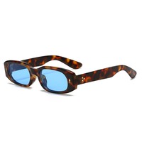 Qsky Europe à la mode riz ongles designer léopard noir cadre bleu lentille lunettes de soleil mode luxe matrice petit cadre lunettes de soleil