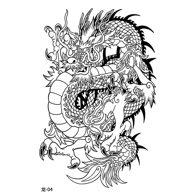 Dragon-04