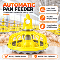 Système d'alimentation automatique pour poulets de chair, mangeoire à plateau pour volailles, équipement d'élevage au sol pour fermes commerciales