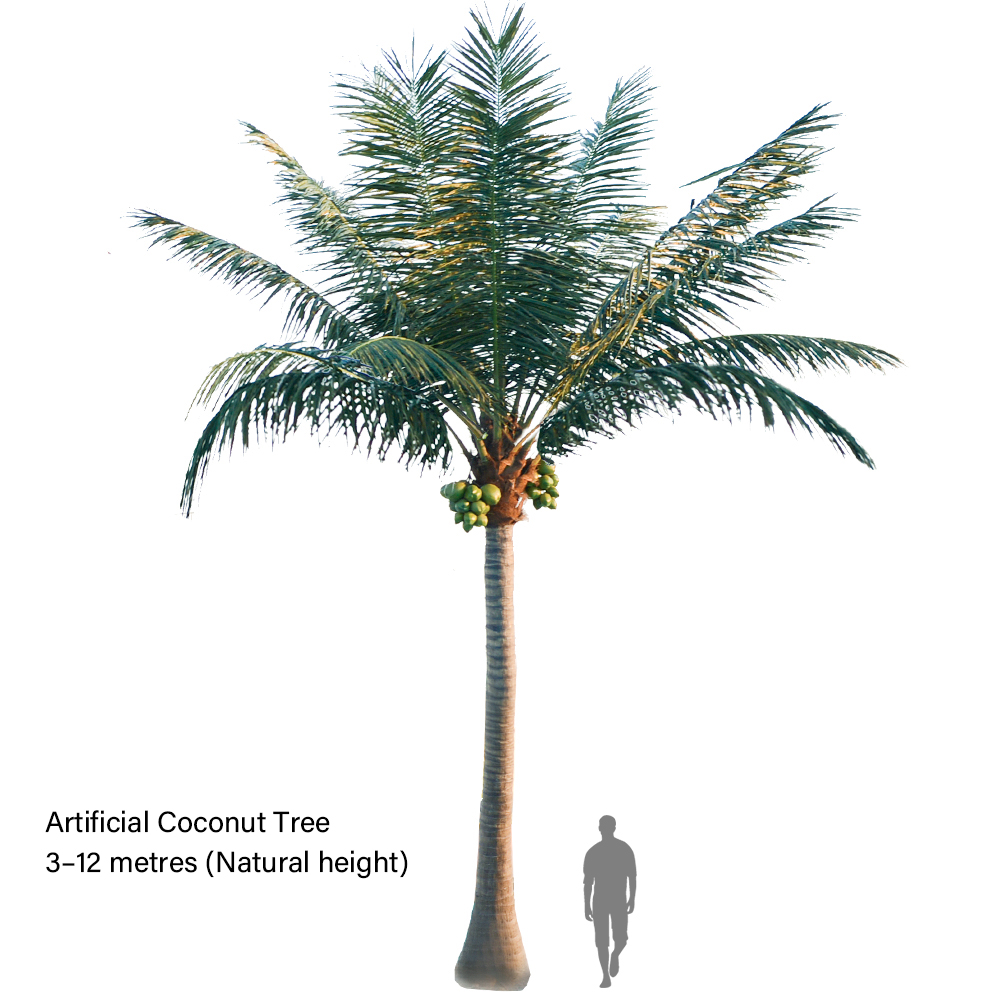 Hawaiian Coconut Tree