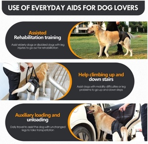 Arnés de Soporte Trasero para Patas de Perro, Correa de Elevación Transpirable de Poliéster para Perros Mayores, OEM - Product Image 2