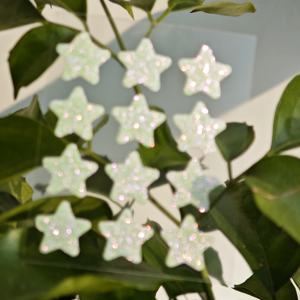 Parches <span class=keywords><strong>para</strong></span> espinillas en forma de estrella, hidrocoloides, brillantes, nuevos, veganos, libres de crueldad animal, sin parabenos, a base de plantas naturales. - Product Image 5