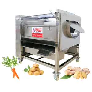 Prezzo di fabbrica automatizzato pennello rullo zenzero patate carota lavaggio lucidatura Peeling macchina per alimenti
