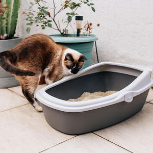 <span class=keywords><strong>3</strong></span> Schichten Katzen Toilette Haustier Sandkasten Kätzchen Tablett Reinigungs bad liefert große Anti-Splash Kunststoff Katze Katzen toilette mit großer Kapazität - Product Image 5