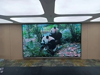 Modules d'affichage LED d'intérieur en couleur P1.86 Module d'affichage LED d'intérieur P2.5 P3.076 P4 P5