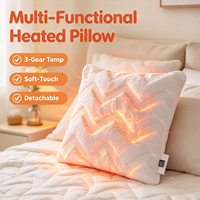 Coussin chauffant USB haut de gamme, doux pour la peau, avec housse amovible, 3 réglages de température, pour la détente intérieure, utilisateurs adultes, hiver
