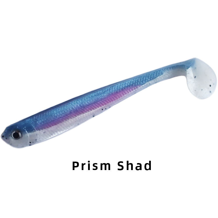Shad prisme