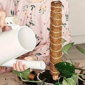 Poteau en mousse enduit de Cocount pour le jardinage domestique-Support de plante de style simple moderne pour une utilisation en serre - Product Image 5