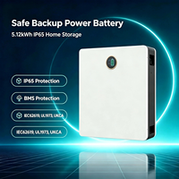 Batterie LiFePO4 murale ou au sol 5,12 kWh 51,2 V 100 Ah 6000 cycles pour stockage solaire hybride résidentiel
