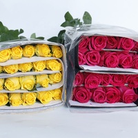Pemasok Bunga Segar Mawar Kuning dan Anyelir dari Yunnan Kunming untuk Hari Valentine dan Natal