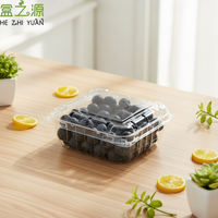 Boîte d'emballage vierge personnalisable OEM en blister carré transparent épaissi de qualité alimentaire pour fruits, dattes d'hiver et pruneaux
