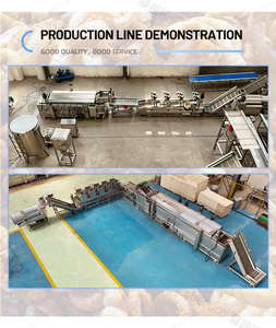Ligne de production de frites de cacahuètes à haut rendement Shepody, en acier inoxydable, pour fèves et petits pois, à friture continue - Product Image 5