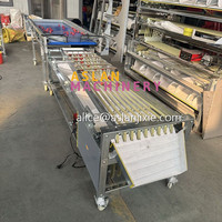 Automatische kersen sorteermachine / Kersen sorteermachine op trackbasis