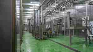 Máquina Automática para Desollar Ganado para Mataderos y Plantas de Procesamiento de Carne - Product Image 4