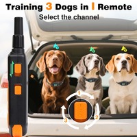 Neues Design Nylon Mode-Elektronisches Hunde-Belltrainingshalsband Wasserdicht Wiederaufladbar mit Mehreren Modi