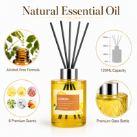Diffuseur à bâtonnets en verre 120 ml – Parfum longue durée sans alcool pour la maison et les chambres d'hôtel – Élimination des odeurs – Cadeau de niche