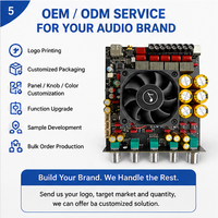 Module amplificateur audio numérique haute puissance AS21PRO 2.1 canaux 300W*2+600W TPA3255, directement de l'usine